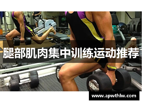 腿部肌肉集中训练运动推荐